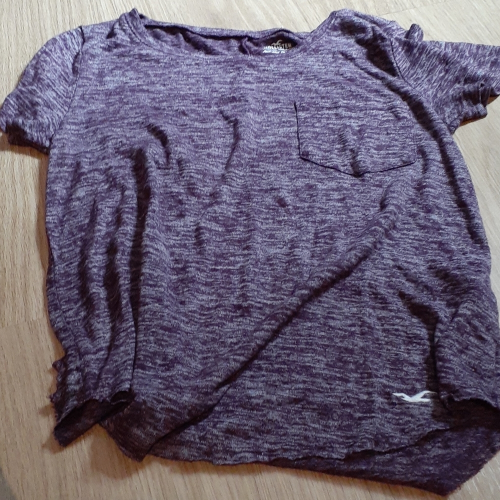 Purple Hollister T-Shirt
